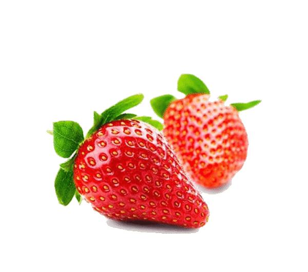 h3-product13 h3-product13